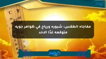 مفاجأة الطقس: شبورة ورياح في ظواهر جوية متوقعة غدًا الأحد